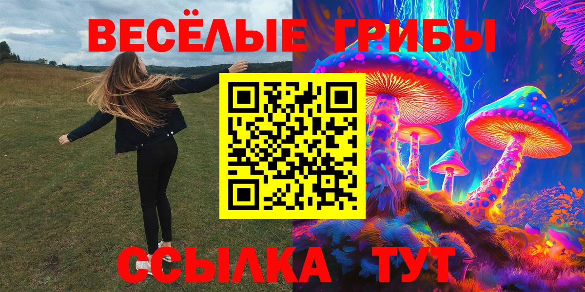 Галлюциногенные грибы GOLDEN TEACHER Москва
